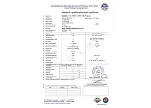 TIG-FM1-PA（ss，nb）---Liu Wenlong